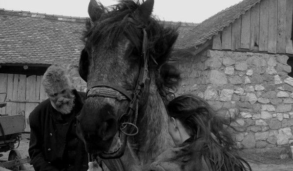 Film Torinski konj (The Turin Horse)