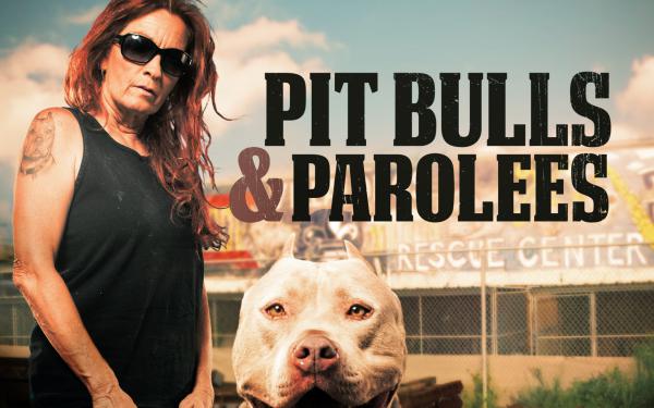 Dokumentarni Pitbul terijeri i bivši zatvorenici (Pit Bulls and Parolees)
